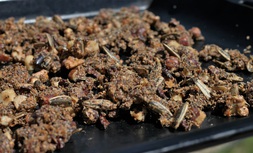 Orechovo makova granola I.jpg